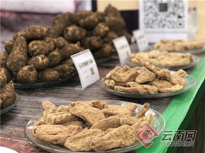 云南彝良優質農特產品入渝受歡迎 要聞 昭通頻道 云南網