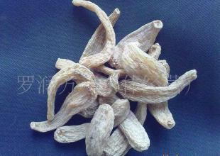 云南麗江天麻(目前接受預定,產期到可發貨)_醫藥、保養_世界工廠網中國產品信息庫