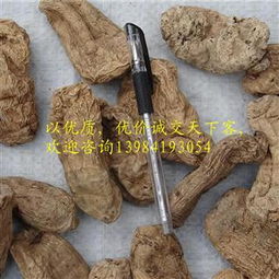 野天麻 貴州野生特級麻 16 22個 公斤 產(chǎn)地 貴州省