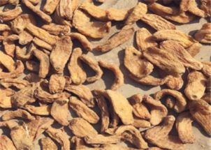 天麻的功效、食用方法與禁忌人群