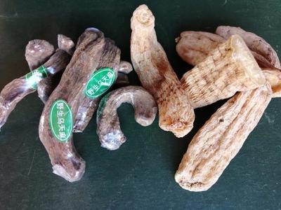 決定天麻質量的四個核心因素